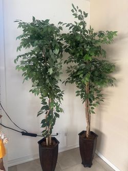 Tree decor