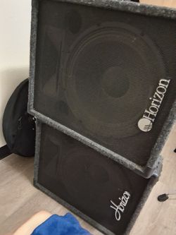 Horizon 18" speaker