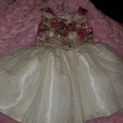 Little Girls Dress