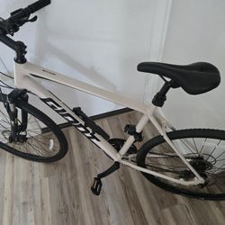 Giant Roam Mountain Bike