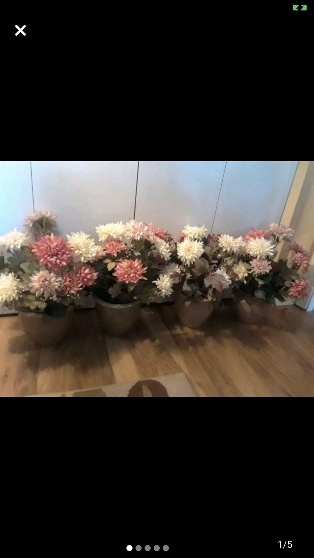 Potted Flowers