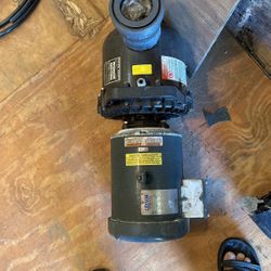 Sea Water Pump/Motor 