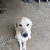 Brian 