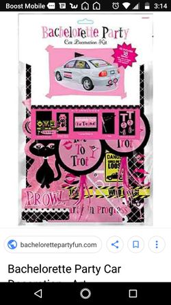 *Reduced*Bachelorette Party Car Decorating Kit