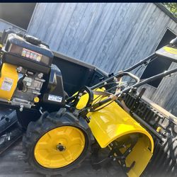 🎈🎈AVAILABLE🎈🎈