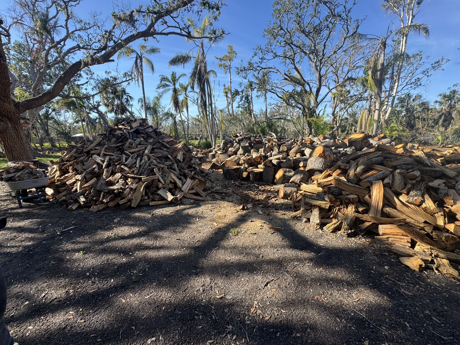 Fire Wood Oak