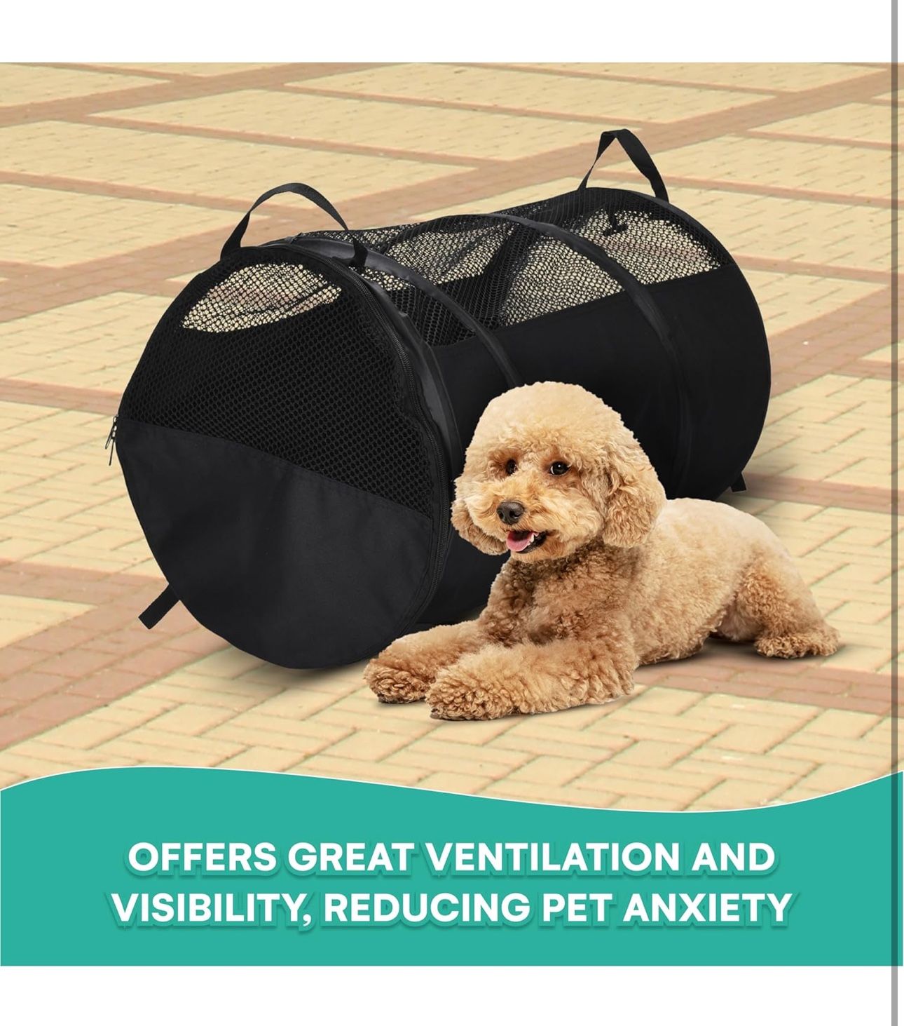 All New Black Pet Carrier With Interior Hooks 