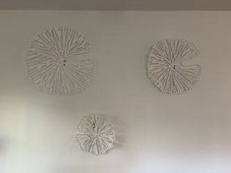 Anthropologie White Coral-Style Wall Décor – Set of 3