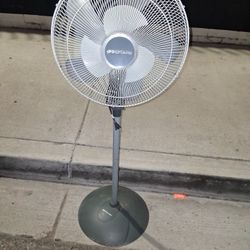 Fan 