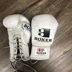 Hard Knock Life Boxing Gloves 