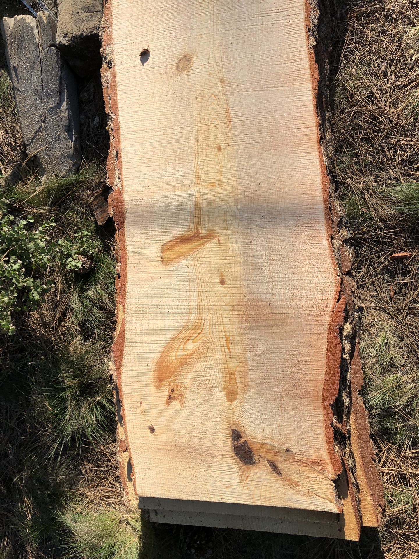 Ponderosa live-edge slabs