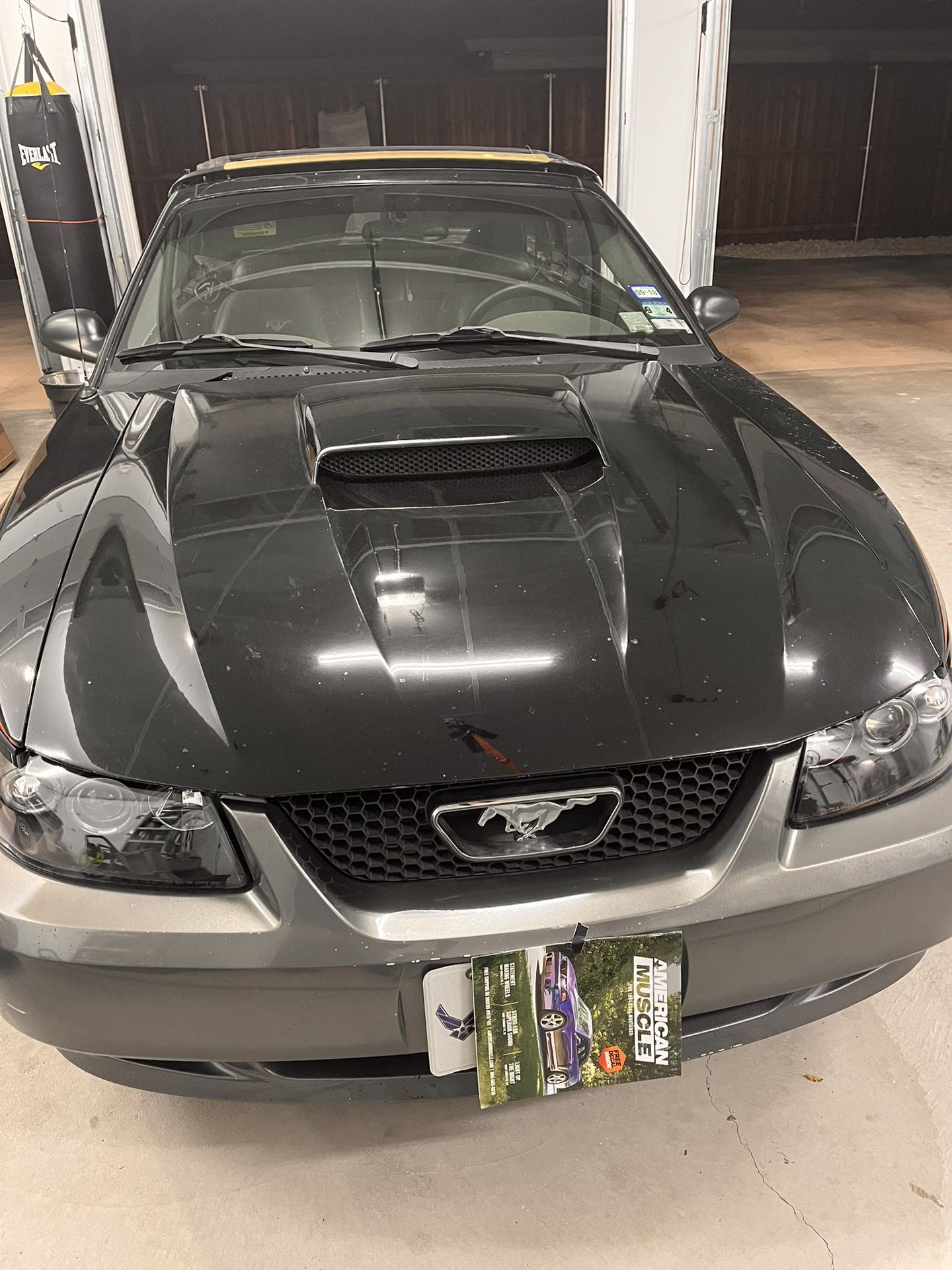 2002 Mustang GT Hood and Spoiler