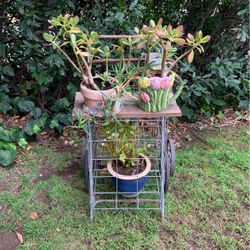 Yard Art Decorative Item Metal Plants Stand 