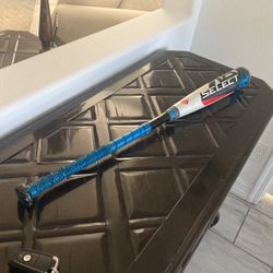 Louisville Slugger Bat