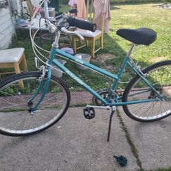 Giant Horizon 17 Inch Bike 