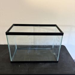 20 Gallon Fish Tank - Clean, Ready to Go!