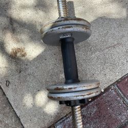 10 - 15 Pound Weight 
