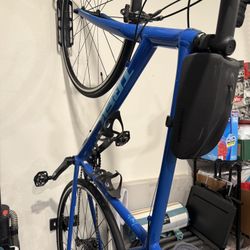 Trek Domane AL 2 XL