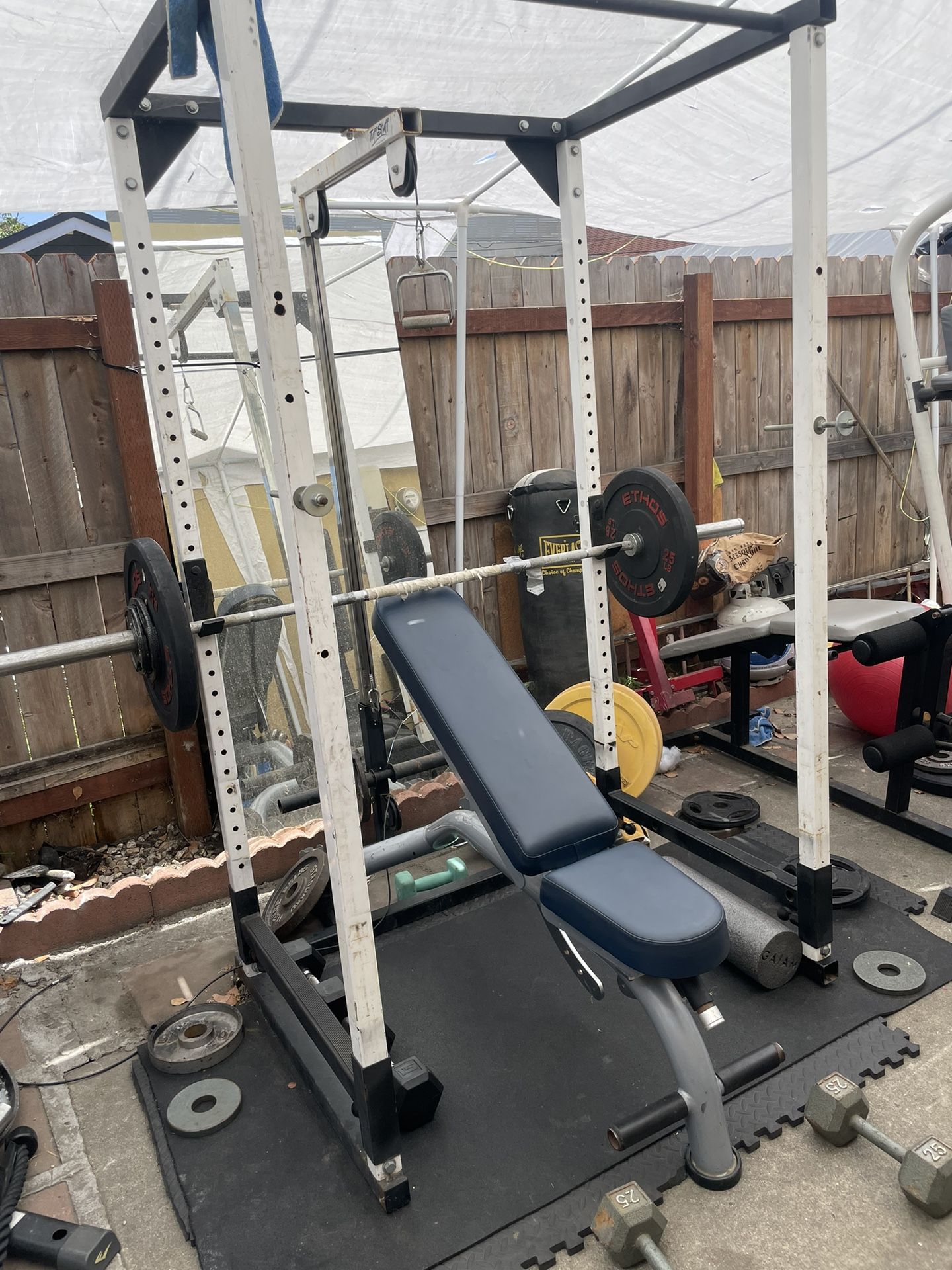 Squat Rack With Olympic Barbell