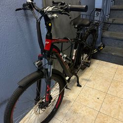 electric bicycle
