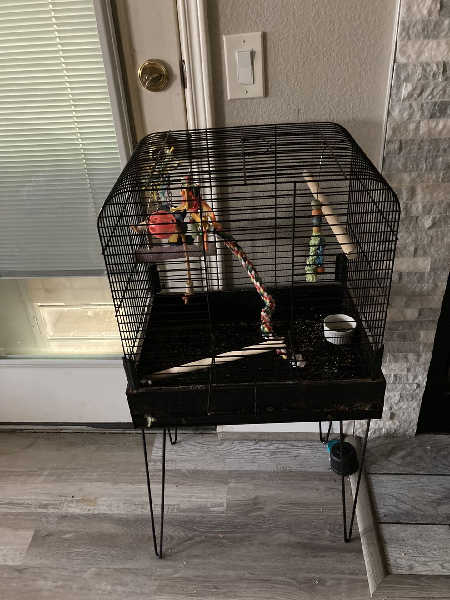 Bird Cage With Accessories