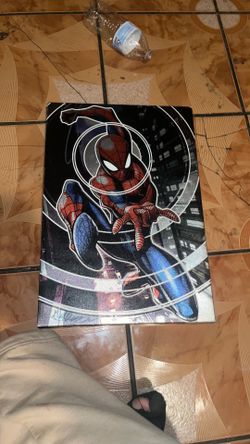 Spiderman picture frame