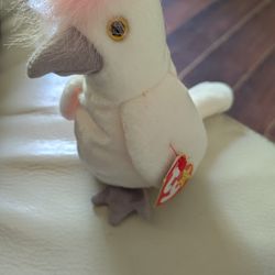 1998 Kuku Beanie Baby