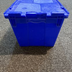 Storage bins with lids