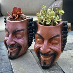 🔥 🔥 🔥 Snoop Dogg  Head Planter 🪴 W Succulents 