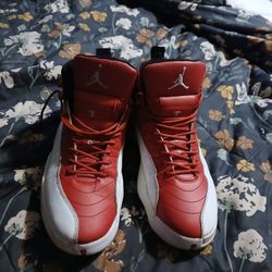 Air Jordan's 12s