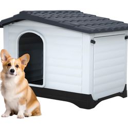 Dog House