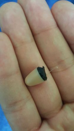 Spy in ear head set!