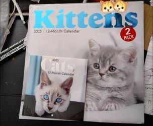 Kittens Big Calendar & Little Calendar 2025