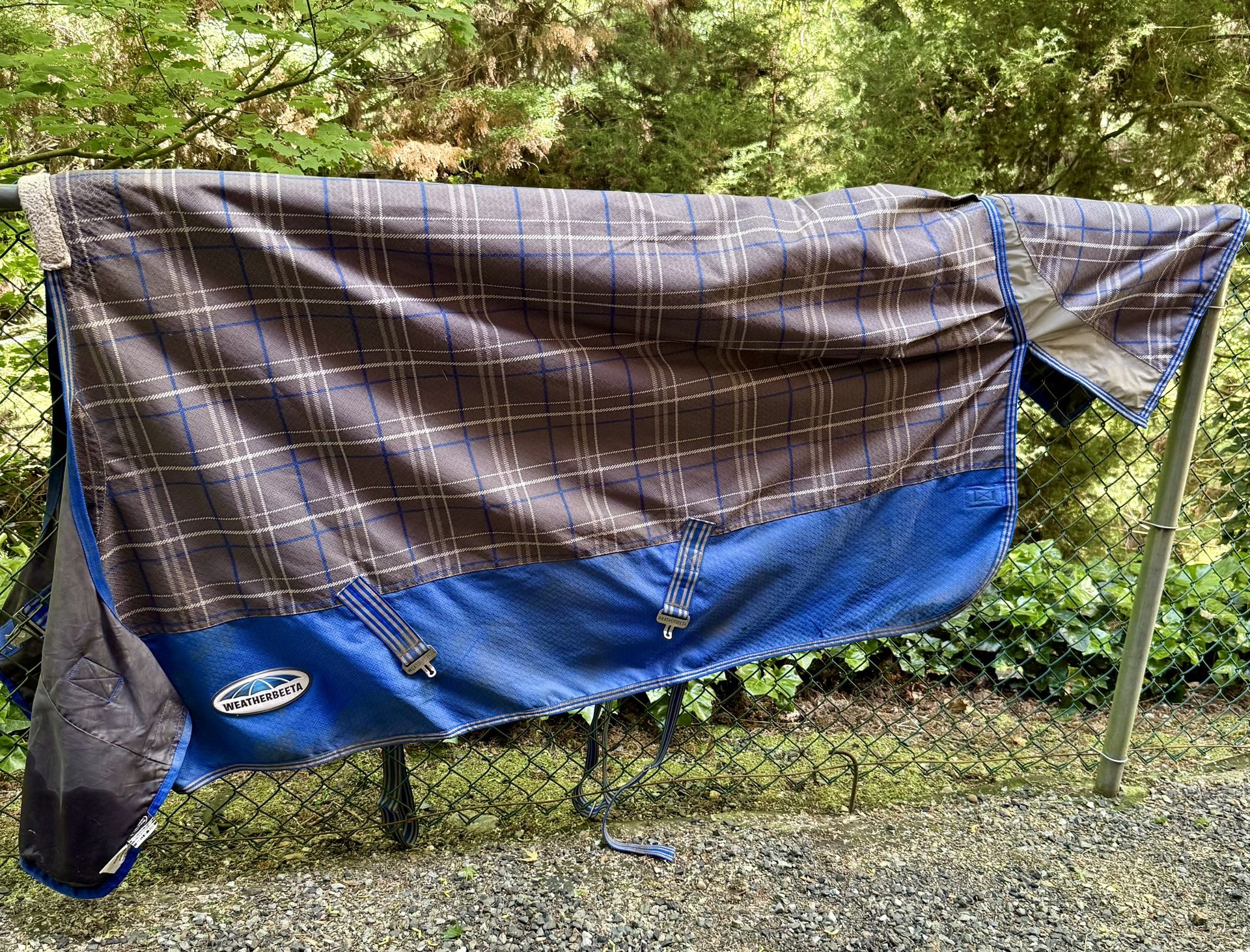 Weatherbeeta Horse Blanket