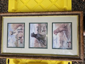 Labrador Retriever Framed Art
