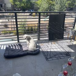 Large Dog Crate