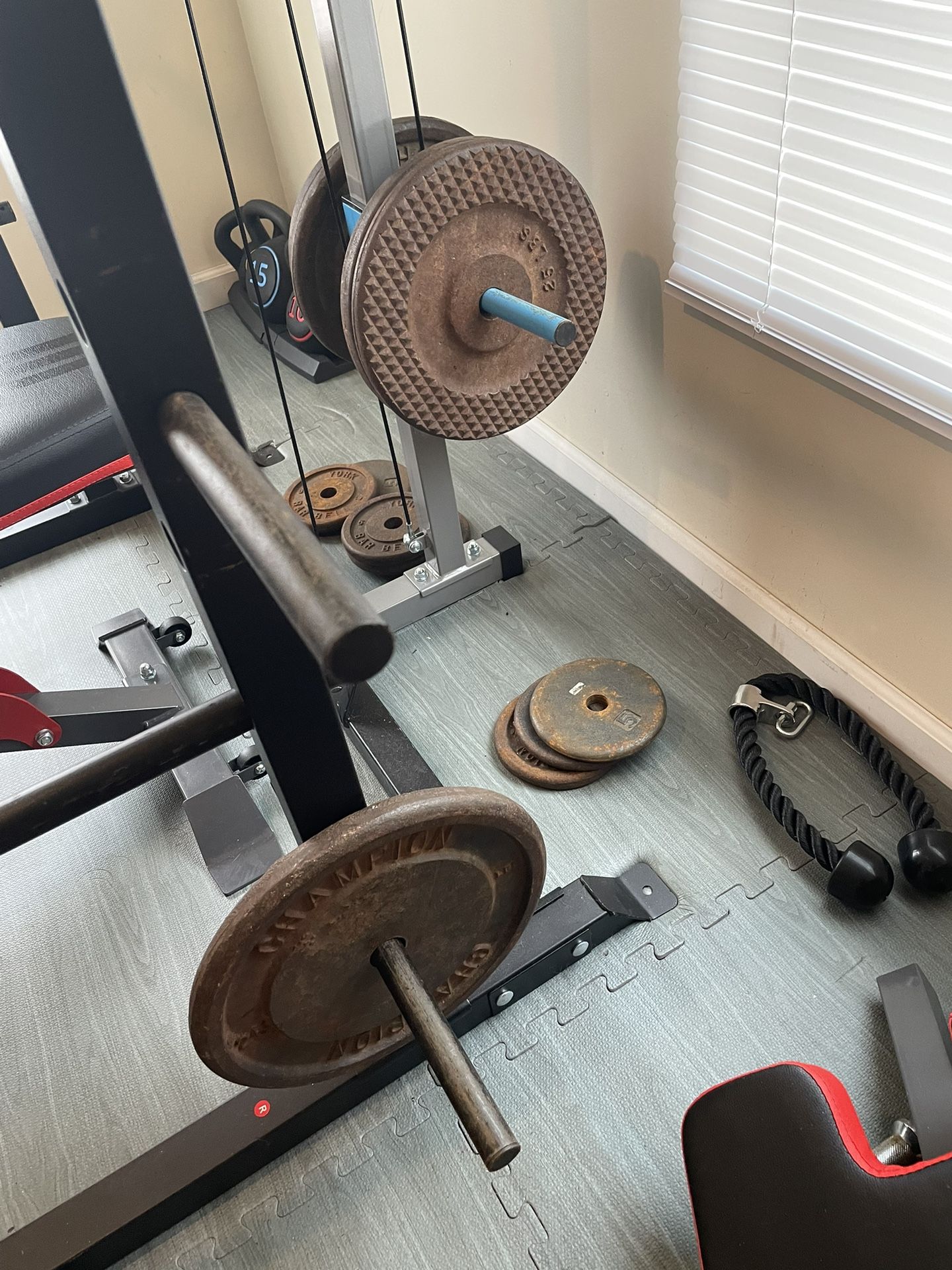 Standard Weight Plates