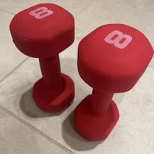8 Pounds Dumbbell 