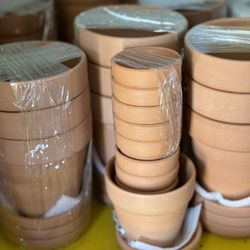 Brand New Terracottas w Trays And More!