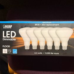 Enhance Vivid Natural Light 6 Pack
