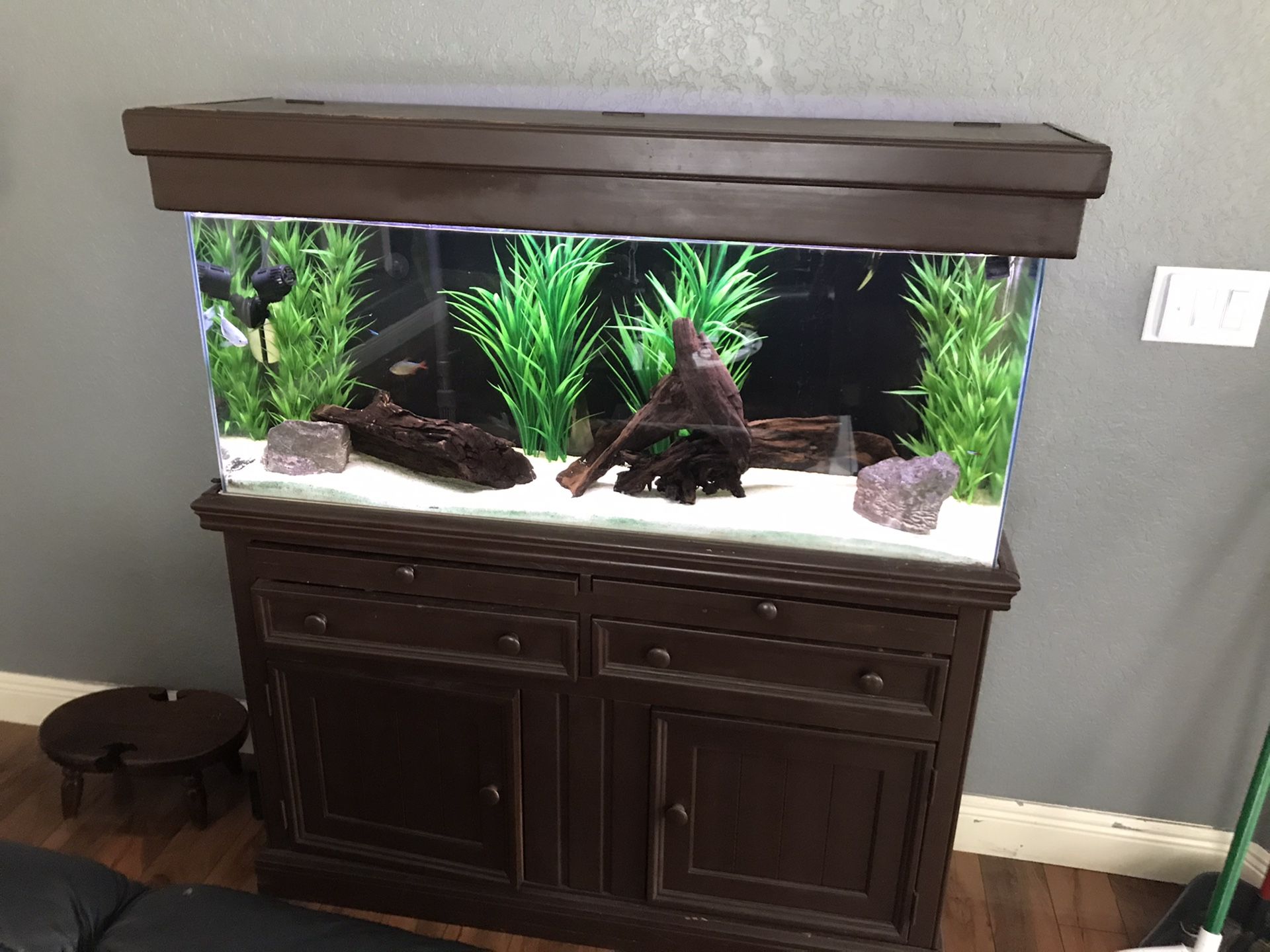 55 gallon fish tank aquarium