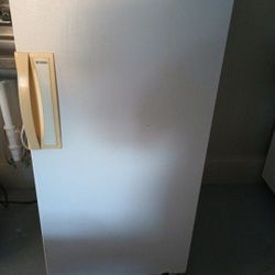 Small Stand Up Freezer