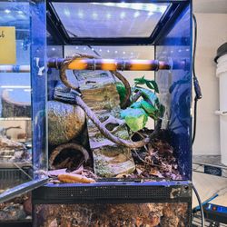 12X12X18 Bioactive Zoo Med Terrarium