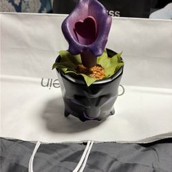  Disney Marvel BLACK PANTHER Wakanda