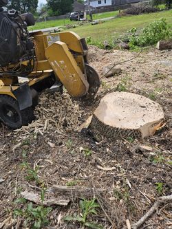 Stump Grinding 