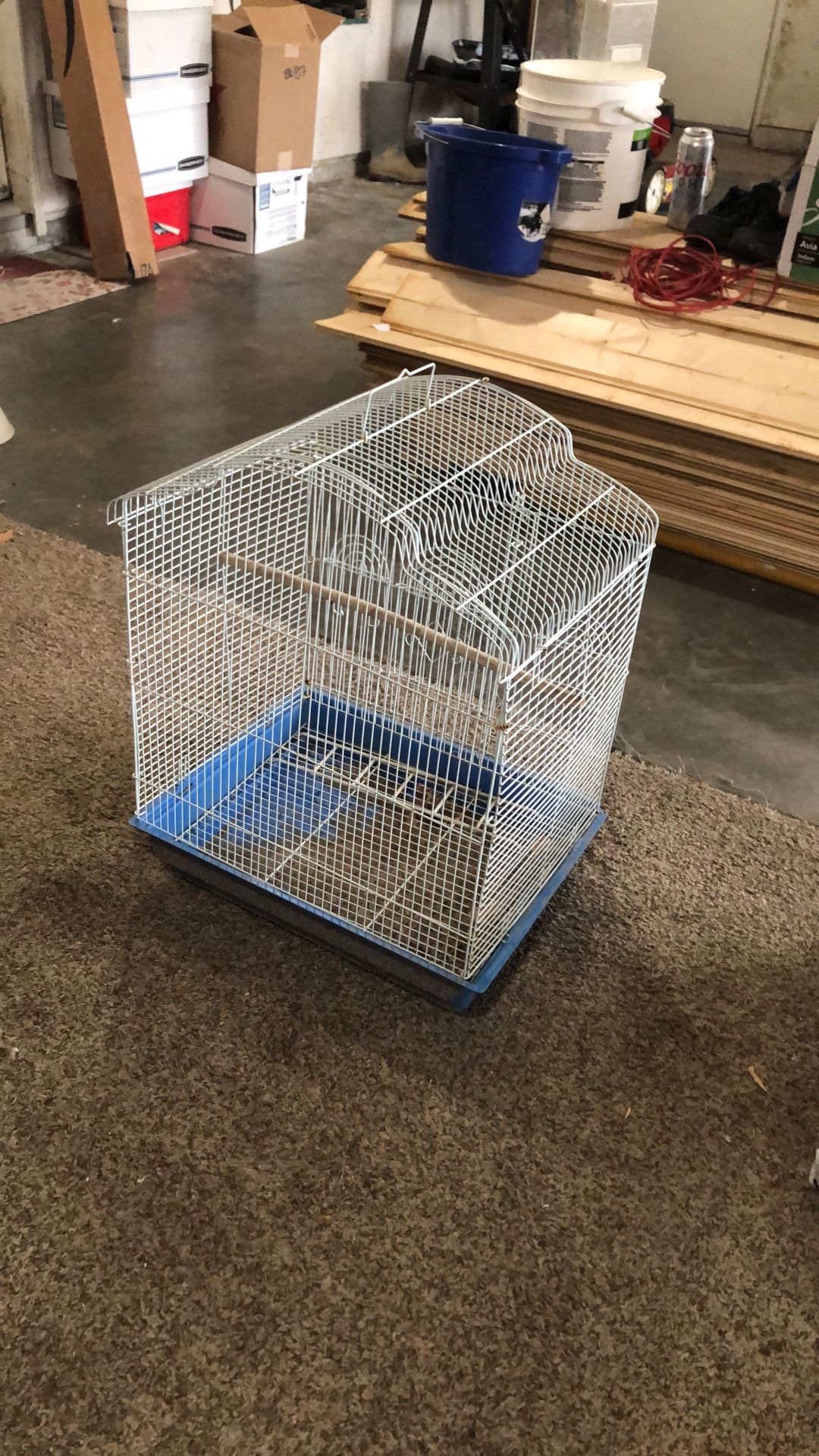 Bird Cage
