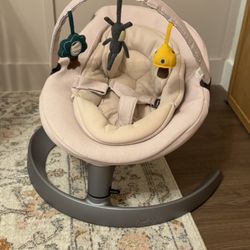 Nuna Baby Swing 