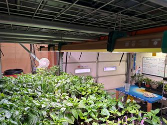 LEDs Bulk Sales