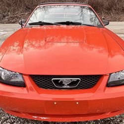 2003 Ford Mustang