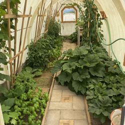 Beautiful Green House For Sale Or Trade